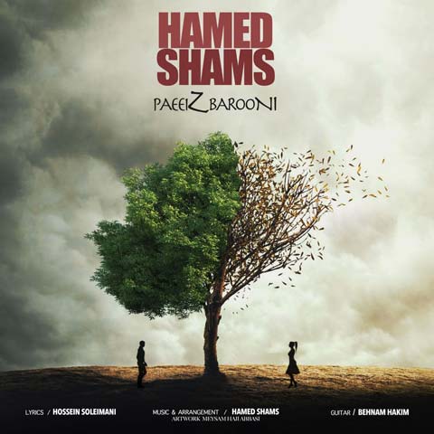 Hamed Shams  –  Paeiz Barooni
